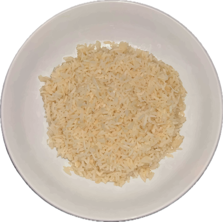 Coconut Rice - Muscle Cell